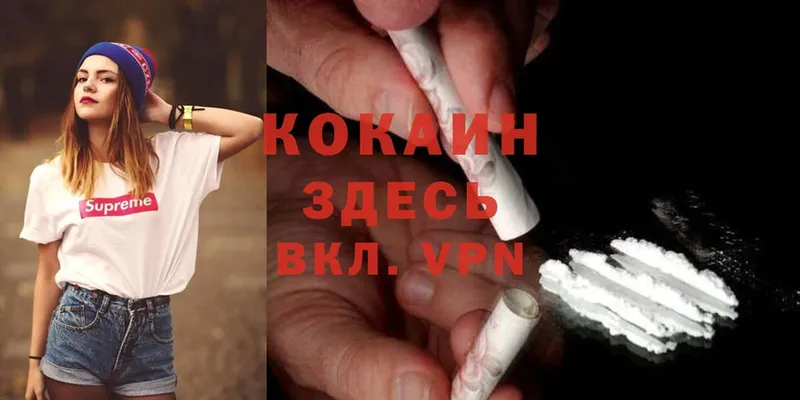 Cocaine Эквадор  купить  сайты  Ряжск 