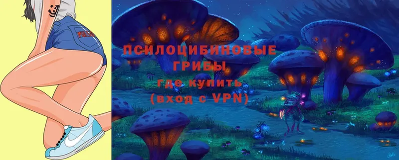 Галлюциногенные грибы Magic Shrooms  Ряжск 